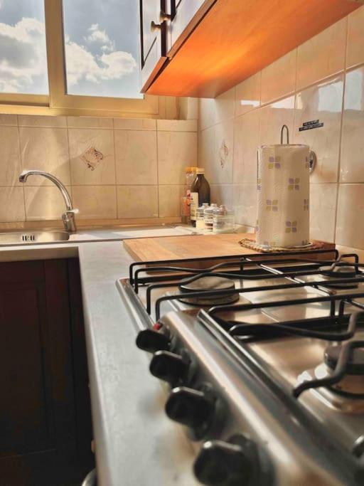 Panoramic 7 Apartment Торино Екстериор снимка